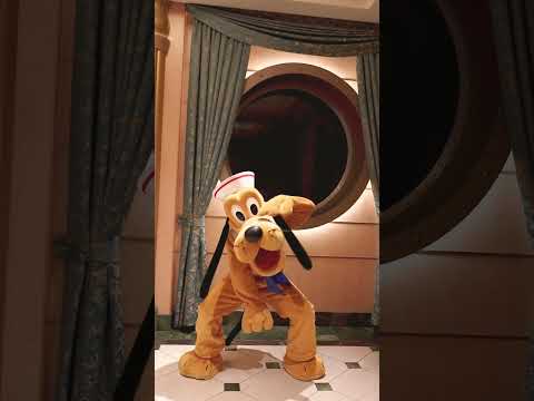 Jumping Pluto #disneycruiseline #disney #pluto
