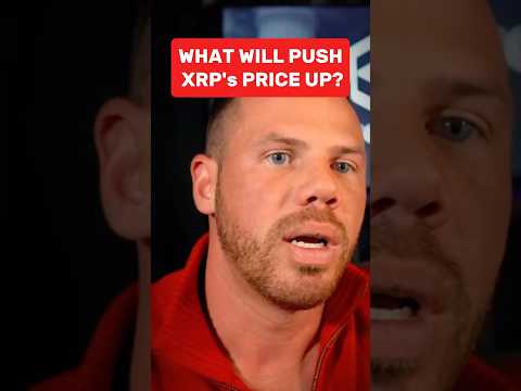 What Will Push XRP Price Up