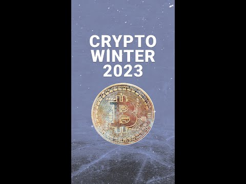 What Makes This Crypto Winter Different? ❄️🤔 #shorts