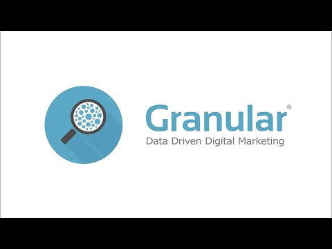 The Digital Marketing Revolution: How AI is Changing the Game Webinar | Granular Webinar