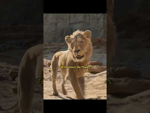 Tell her about the flowers #Mufasa2024 #TheLionKingPrequel #MufasaTheLionKing #MufasaVsScar #viral