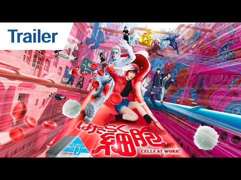 CELLS AT WORK! | Main Trailer