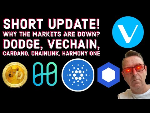 Short Update! Why the Markets Are Down? Dodge, Vechain, CARDANO, Doge, Chainlink, Harmony One