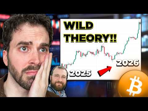 What Nobody Else Realizes About Bitcoin in 2025 (wild theory)