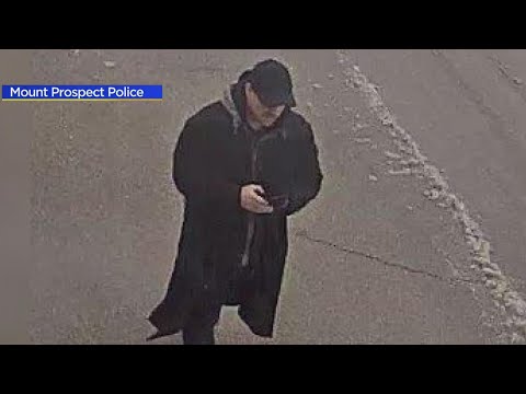 Police search for man who followed teen girl from Walmart in Mount Prospect