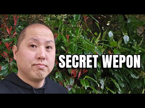 Bitcoin’s Newest Secret Weapon Is Being Built Right Now…